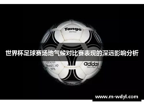 世界杯足球赛场地气候对比赛表现的深远影响分析