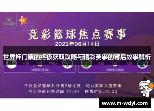世界杯门票的终极获取攻略与精彩赛事的背后故事解析