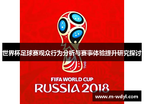 世界杯足球赛观众行为分析与赛事体验提升研究探讨