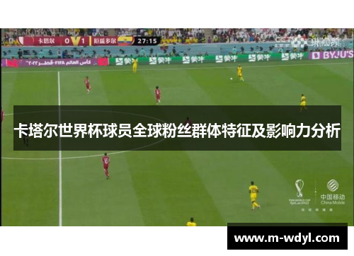 卡塔尔世界杯球员全球粉丝群体特征及影响力分析