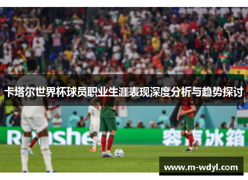 卡塔尔世界杯球员职业生涯表现深度分析与趋势探讨