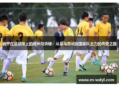 纳乔在足球场上的成长与突破：从皇马青训到国家队主力的传奇之路