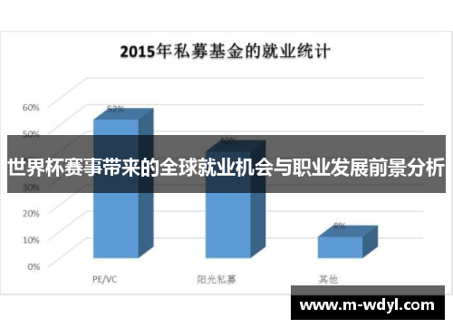 世界杯赛事带来的全球就业机会与职业发展前景分析