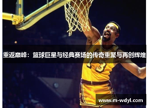 重返巅峰：篮球巨星与经典赛场的传奇重聚与再创辉煌