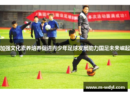 加强文化素养培养促进青少年足球发展助力国足未来崛起