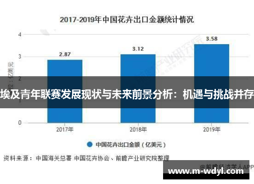 埃及青年联赛发展现状与未来前景分析：机遇与挑战并存