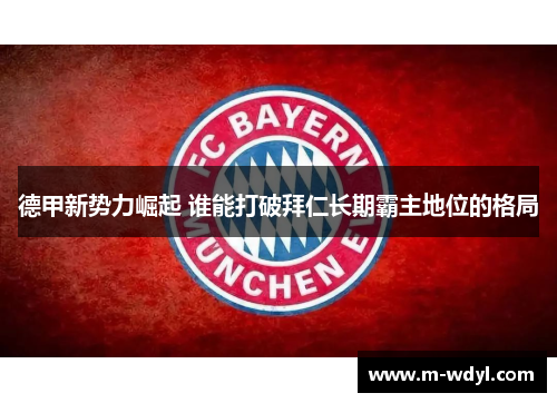 德甲新势力崛起 谁能打破拜仁长期霸主地位的格局