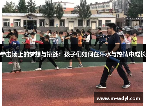 拳击场上的梦想与挑战：孩子们如何在汗水与热情中成长