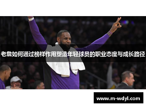 老詹如何通过榜样作用塑造年轻球员的职业态度与成长路径