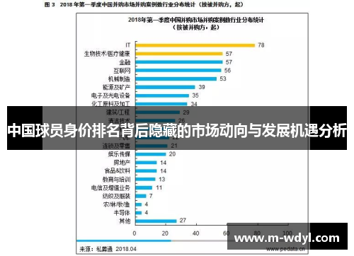 中国球员身价排名背后隐藏的市场动向与发展机遇分析