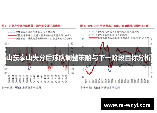 山东泰山失分后球队调整策略与下一阶段目标分析