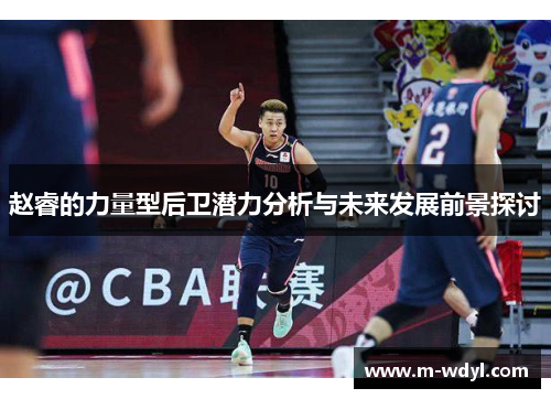 赵睿的力量型后卫潜力分析与未来发展前景探讨