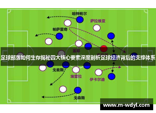 足球部落如何生存揭秘四大核心要素深度剖析足球经济背后的支撑体系