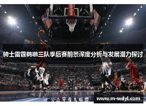骑士雷霆鹈鹕三队季后赛前景深度分析与发展潜力探讨