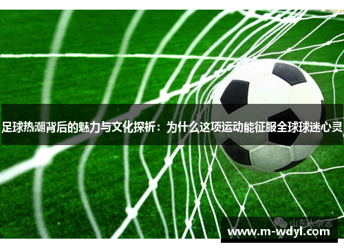 足球热潮背后的魅力与文化探析：为什么这项运动能征服全球球迷心灵