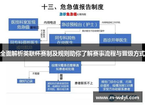 全面解析英联杯赛制及规则助你了解赛事流程与晋级方式 全面解析英联杯赛制及规则助你了解赛事流程与晋级方式