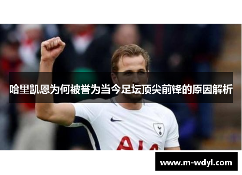 哈里凯恩为何被誉为当今足坛顶尖前锋的原因解析 哈里凯恩为何被誉为当今足坛顶尖前锋的原因解析