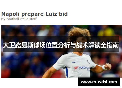 大卫路易斯球场位置分析与战术解读全指南