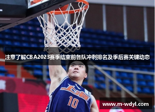 注意了解CBA2023赛季结束前各队冲刺排名及季后赛关键动态