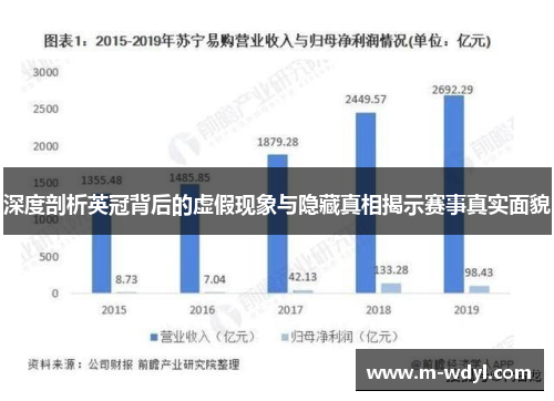 深度剖析英冠背后的虚假现象与隐藏真相揭示赛事真实面貌