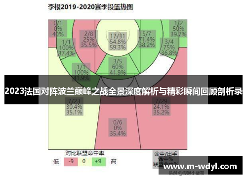 2023法国对阵波兰巅峰之战全景深度解析与精彩瞬间回顾剖析录